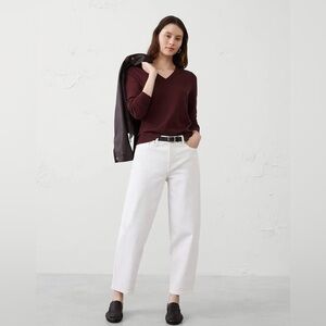 Banana Republic Forever V-Neck Sweater in Vino Rosso